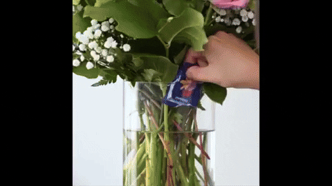 comment-economiser giphyupload GIF