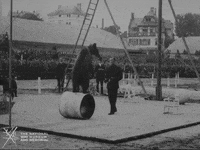 NationalWWIMuseum black and white bear military circus GIF