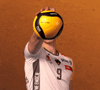 Volleyball Volley GIF by trefl_gdansk
