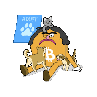 Cat Adopt Sticker by herecomesbitcoin