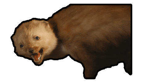 Green Washing Sticker by wherefrom