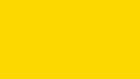 Portuguese GIF by languages
