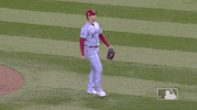 Regular Season Sport GIF by MLB