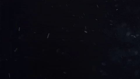 Team Usa Sport GIF by U.S. Ski & Snowboard Team
