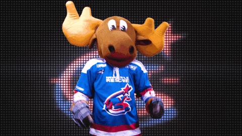 celebration yes GIF by Newcastle Northstars