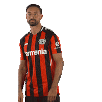 Oh No Facepalm Sticker by Bayer 04 Leverkusen