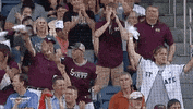 Baseball College GIF by NCAA Championships