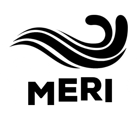 Meribottles giphygifmaker meri meribottles meribottle GIF
