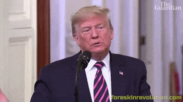 Trump Bullshit GIF by Foreskin Revolution