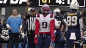 Football Celebrate GIF by New England Patriots