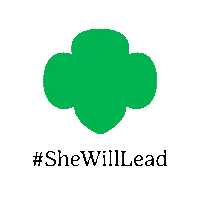 gswise giphyupload giving tuesday gswise gswise giving tuesday Sticker