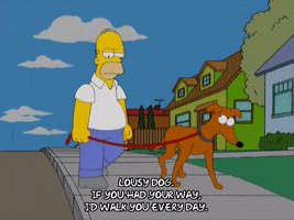 Season 20 Dog GIF by The Simpsons