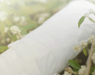 deo_theback giphyupload GIF