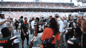 College Football GIF by Miami Hurricanes