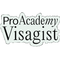 Hair Makeup Sticker by ProAcademy