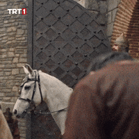 Gate Ottoman GIF by TRT