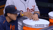 Major League Baseball Reaction GIF by Detroit Tigers