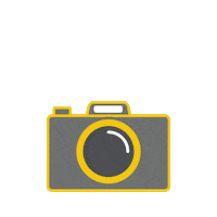 Shooting Star Fun Sticker by Feld Entertainment Studios
