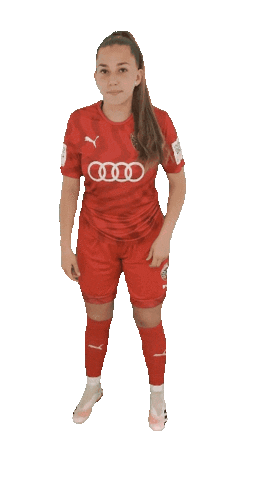 schanzerinnen giphyupload frauenfussball nichtohnemeinemädels schanzerinnen Sticker