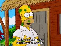 explaining homer simpson GIF