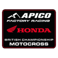 Honda Racing Sticker by ApicoFactoryRacing
