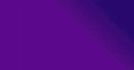 Cheetah GIF by MV Media