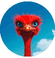 Red Apple Sticker by elbe-obst