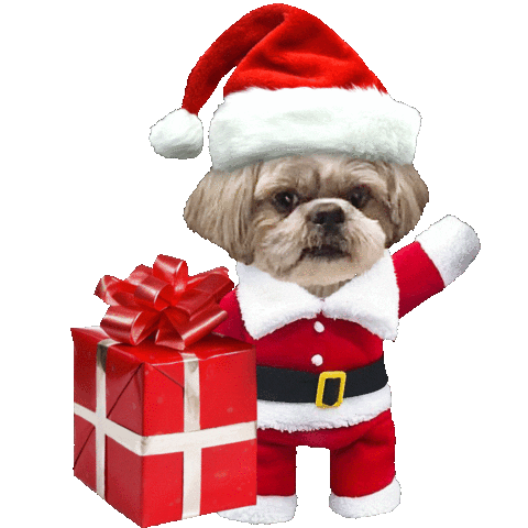 Shih Tzu Party Sticker