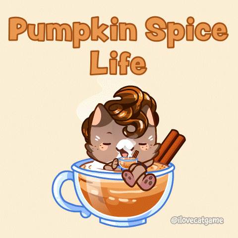 Pumpkin Spice Cat GIF by Mino Games