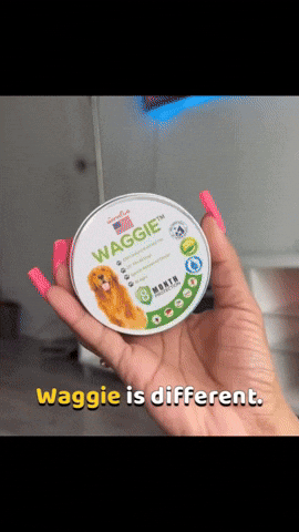 Your GIF