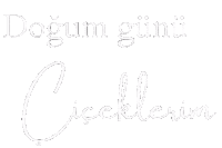 Birthday Iyiki Sticker