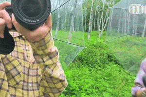 Ateez Mingiateez GIF