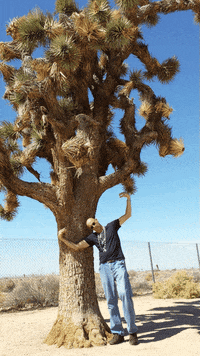 overtherainbowtravels fun travel usa otrt GIF