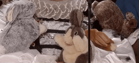 Melissa Mccarthy Bunny GIF by The Academy Awards