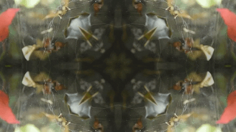 Art Love GIF by jorgemariozuleta