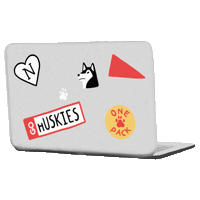 Nuexperience Sticker by Northeastern University
