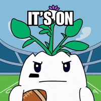 Lets Go Win GIF by Magic Eden