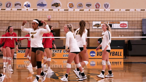 Flex Glover GIF by NDSU Athletics