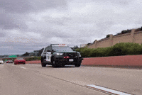 Interspacemonkey GIF