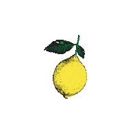 Food Fruit Sticker by Fox Restaurant Concept | Flower Child