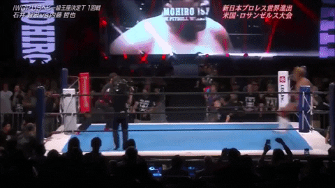 Japan Wrestling GIF