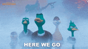 MigrationMovie family duck marriage flight GIF