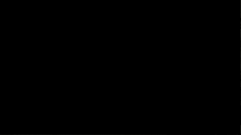 Volleyball GIF by Mizzou Athletics
