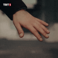 Valentines Day Love GIF by TRT