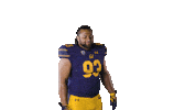 Uc Berkeley Go Bears Sticker by Cal Athletics