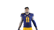 Uc Berkeley Go Bears Sticker by Cal Athletics