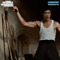 Lets Go Fighting GIF by Arrow Video