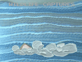 Pop Art GIF by Xinanimodelacra