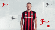Come On Please GIF by Bundesliga