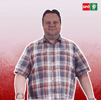 Styria GIF by SPÖ Steiermark